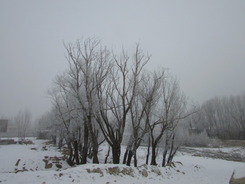 کاوه وحیدی آذر- Kaveh Vahidi Azar-سرمای تبریز
